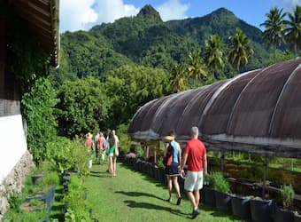 St Lucia private island excursion tour
